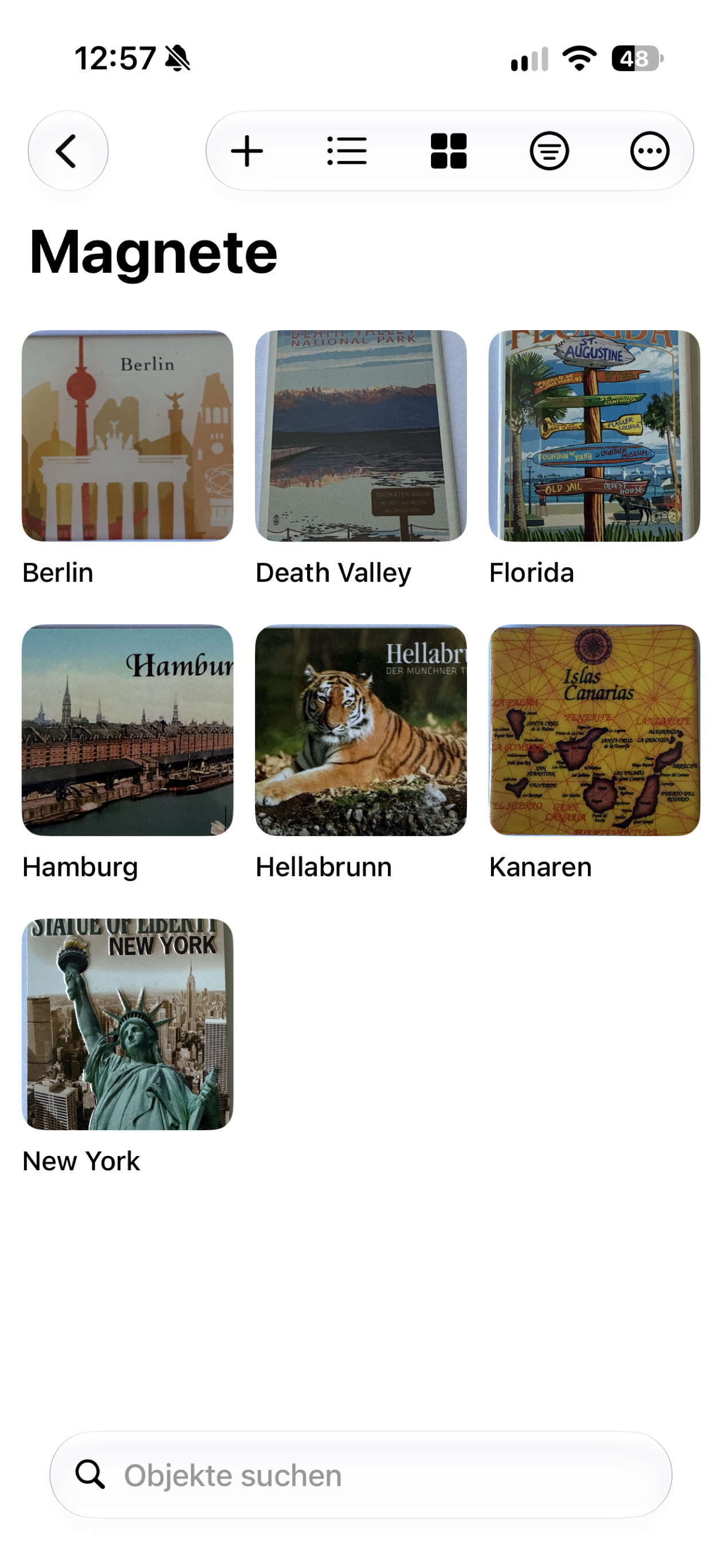Sammler auf dem iPhone: Magnet-Sammlung mit Fotos in der Rasteransicht